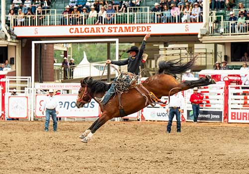 Calgary Stampede