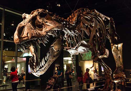 dinosaur museum Drumheller